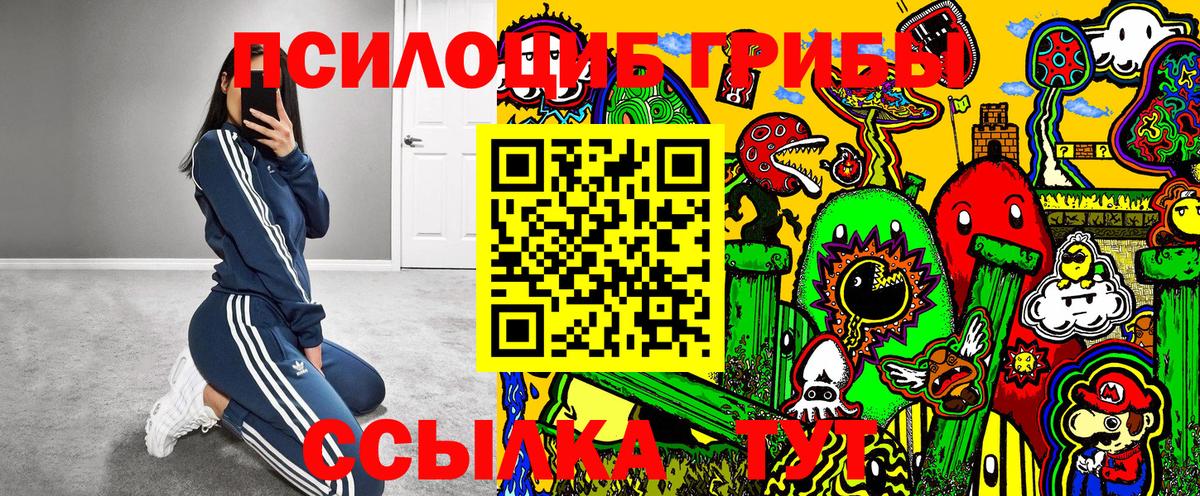 Псилоцибиновые грибы Psilocybe Гуково